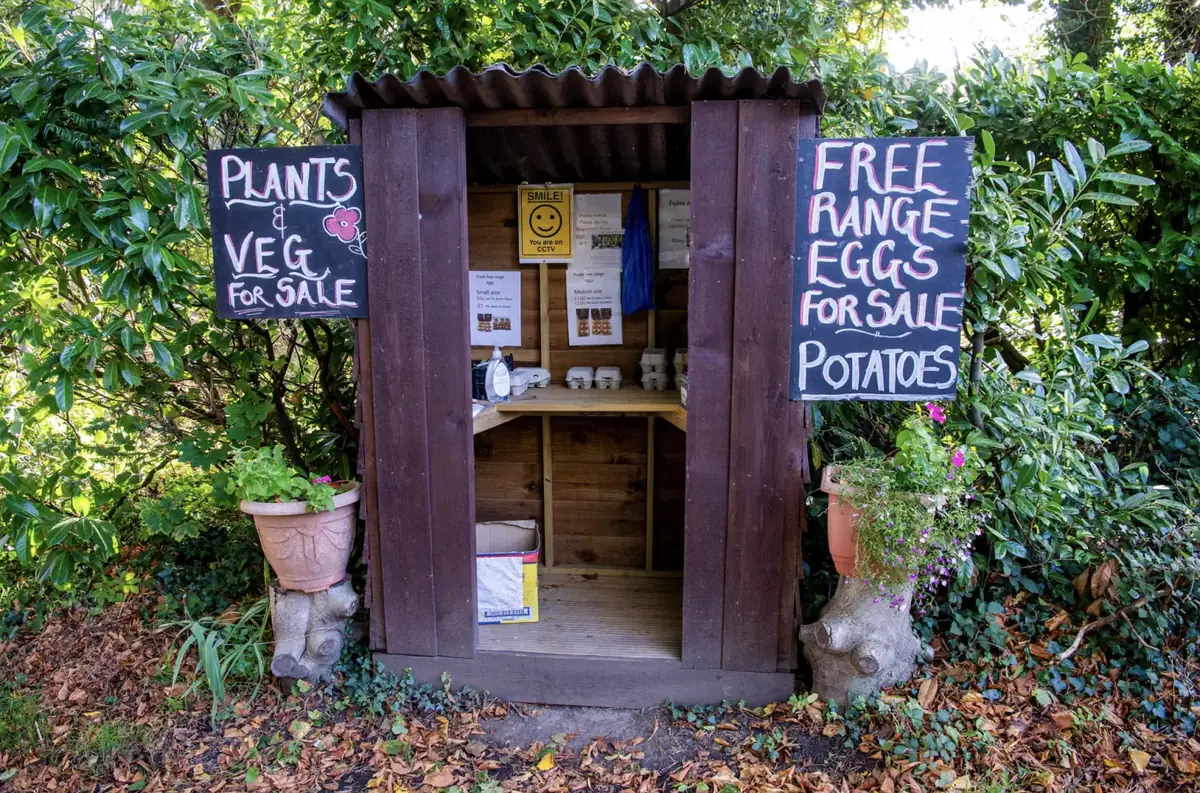A small wooden cabinet with hand-painted signs reading Plants & Veg, Free Range Eggs, Potatoes